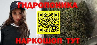 гидропоника Жуковский