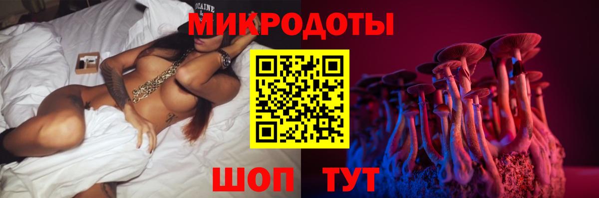 Псилоцибиновые грибы MAGIC MUSHROOMS  Вход с VPN  Кириши 